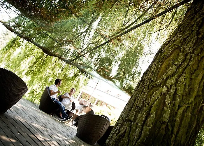 Domaine De Barive Hotel 4*