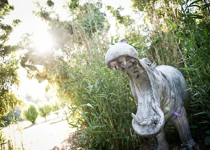 Domaine De Barive Hotel