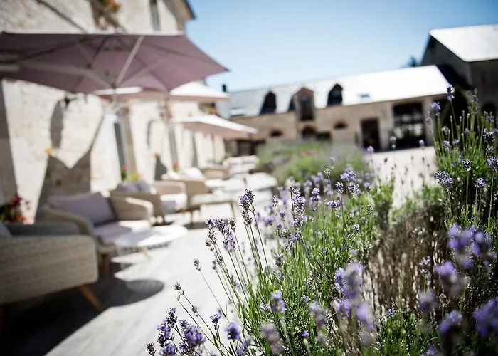 Domaine De Barive מלון 4*